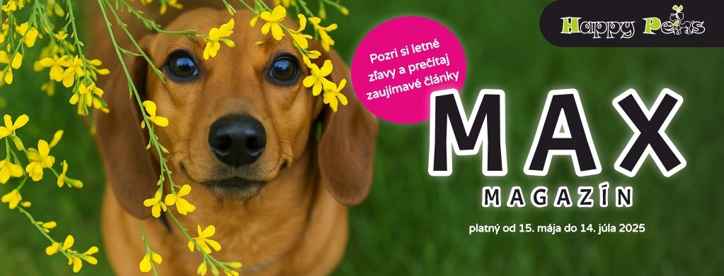 Max Magazín